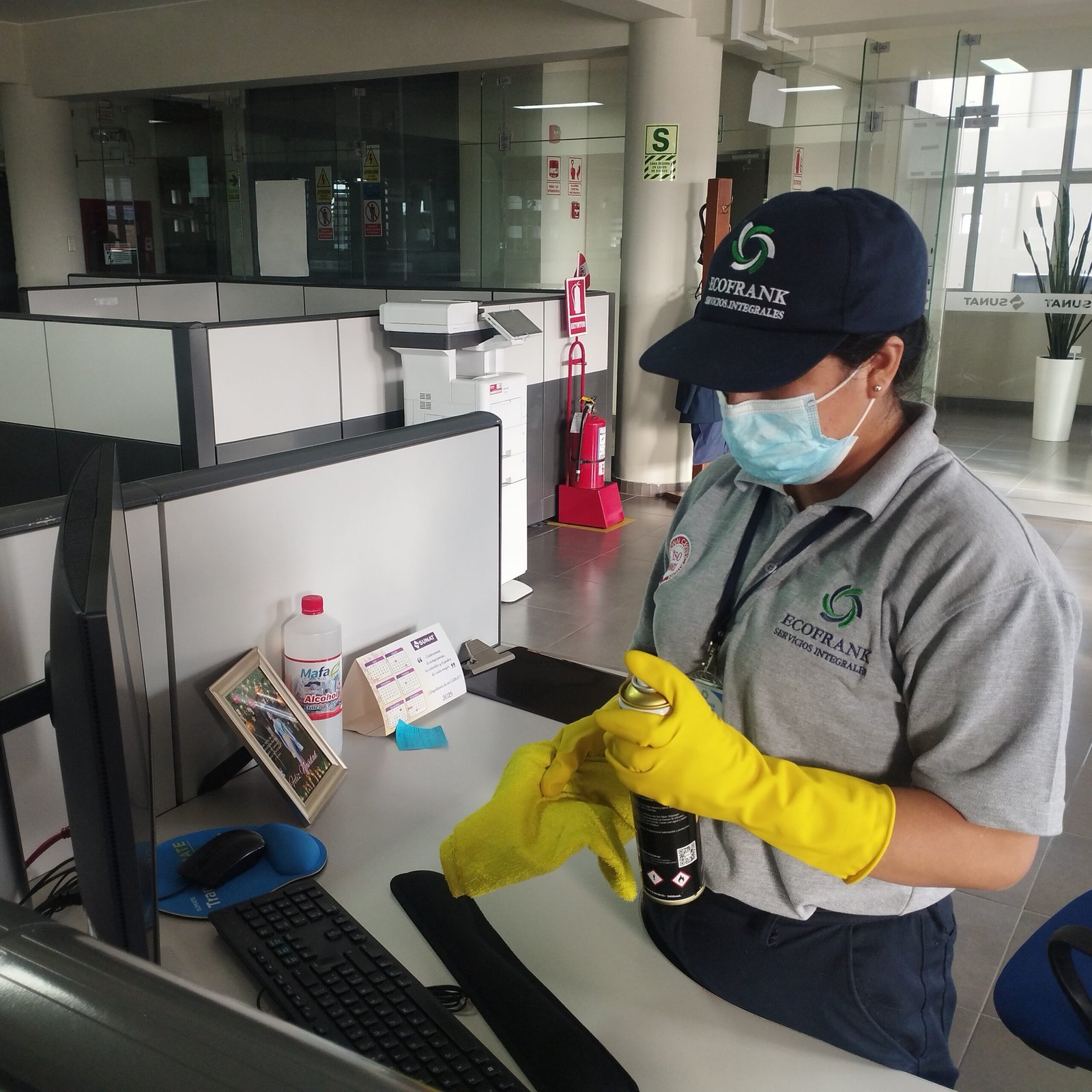 Saneamiento Ambiental